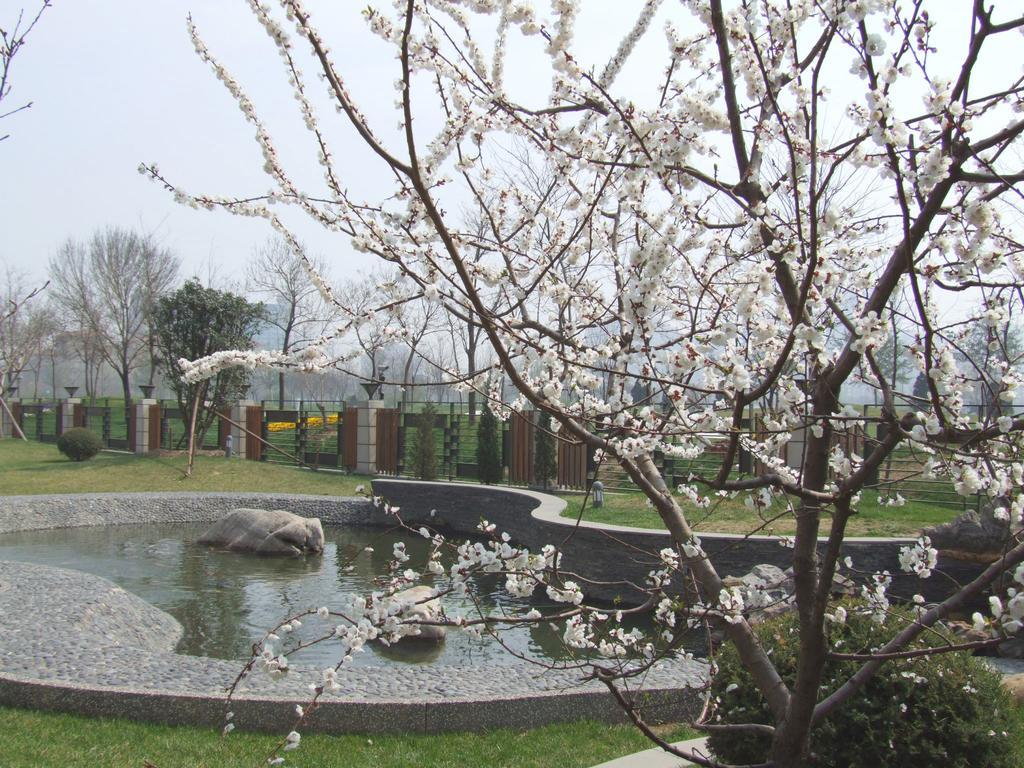Green Park Hotel Tianjin Binhai  Екстер'єр фото